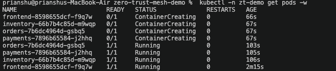 Pods starting up with no mesh